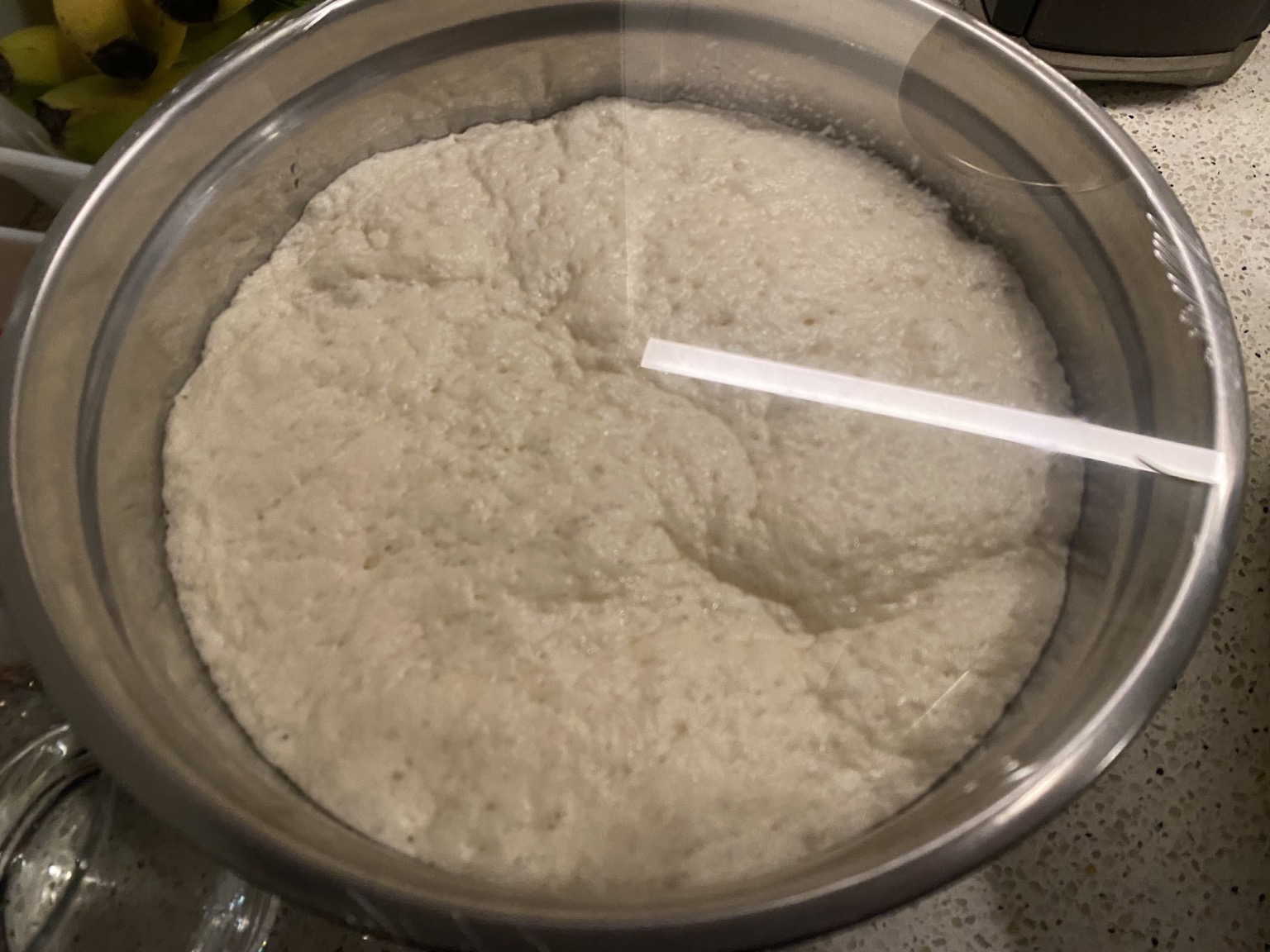 pizza dough 12 hours later having more than doubled in size, filling the entire bowl beyond where the previous refracted reflection of itself