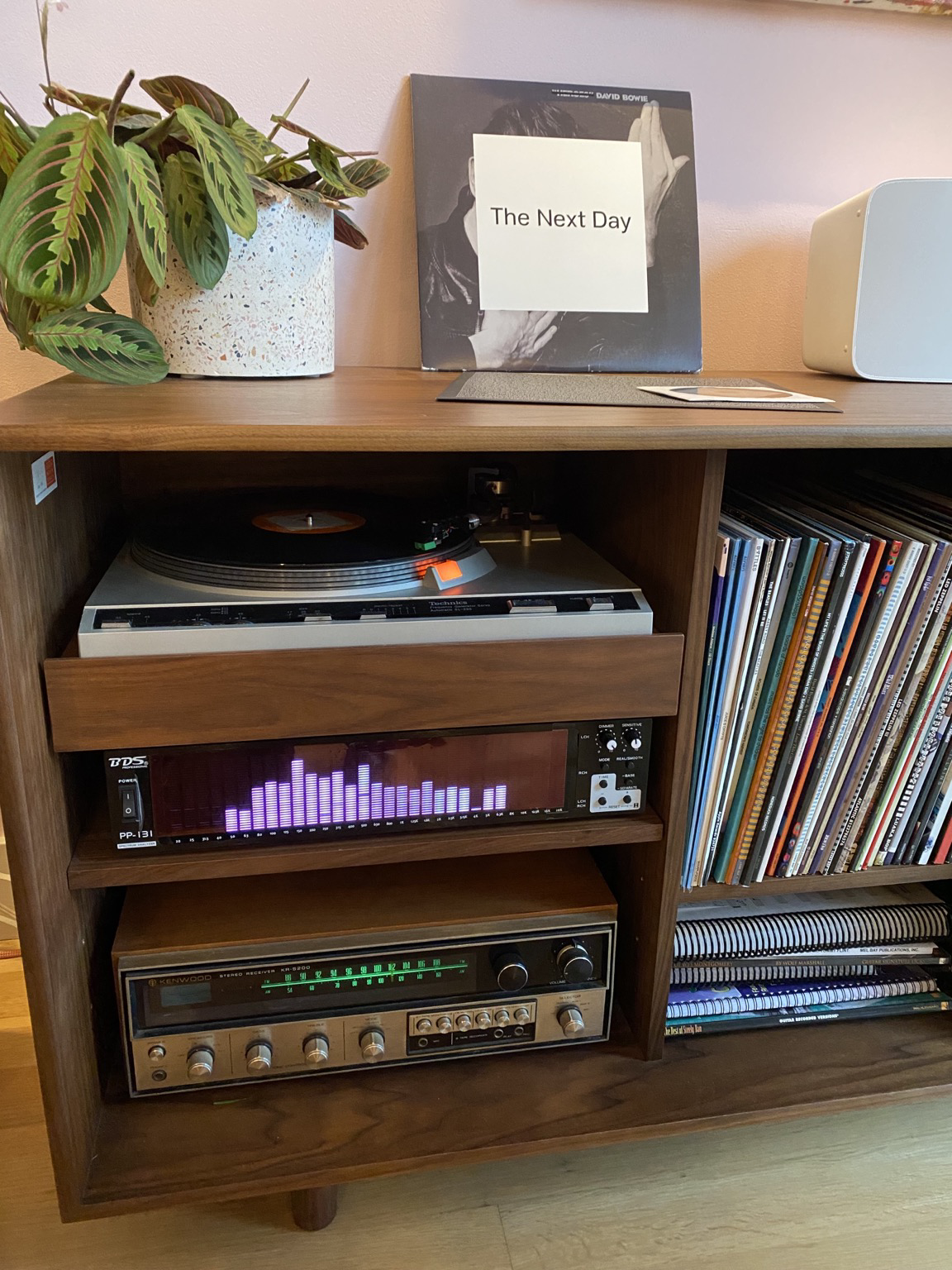 a credenza containing a record player, spectrum analyzer, and receiver, next to a shelf of records, Bowie's "The Next Day" playing, album propped uppropped up against the wall on the next to a prayer plant