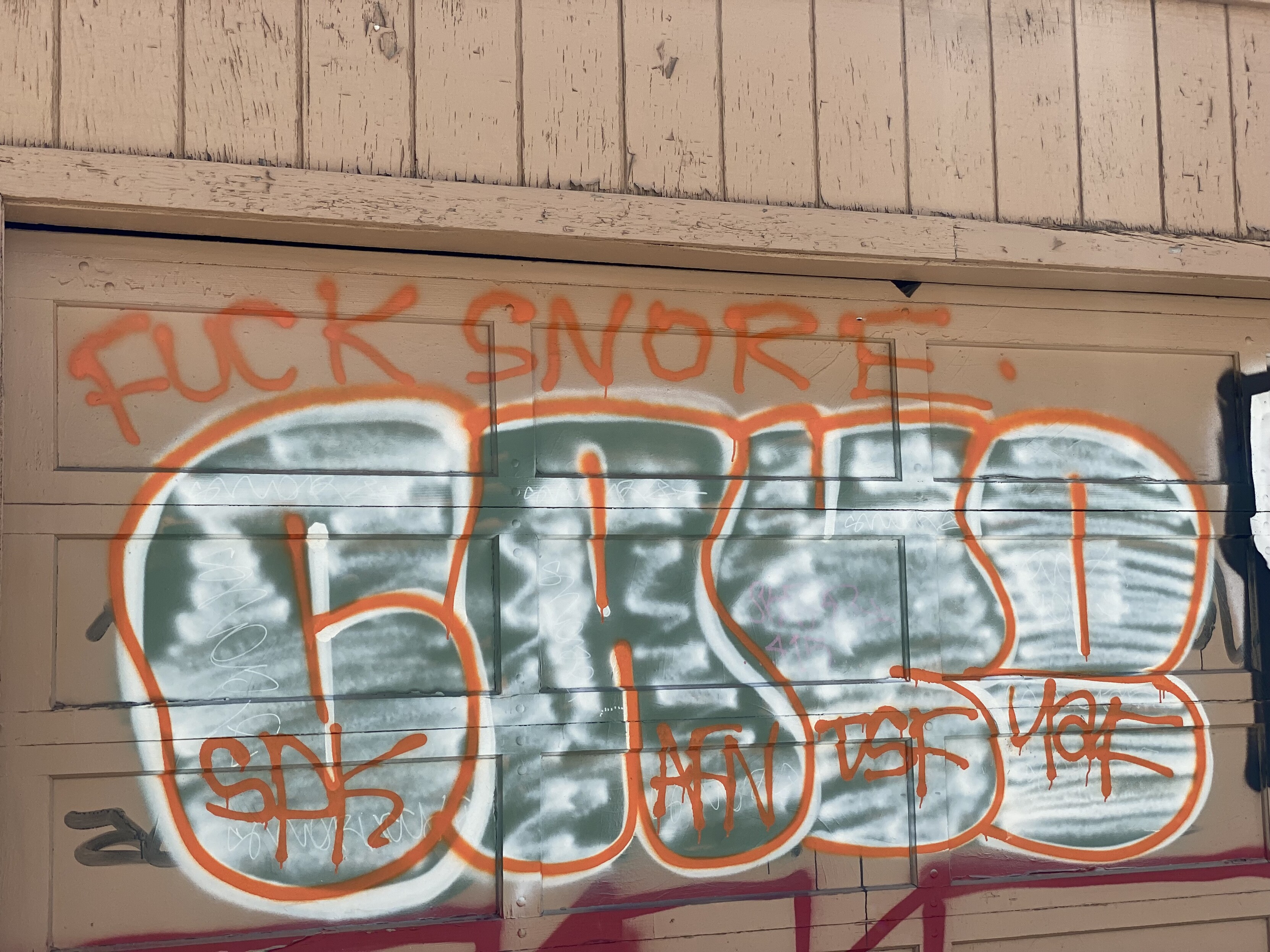 orange lettered (poorly, just block letters) graffiti over a beige alley garage door "FUCK SNORE"