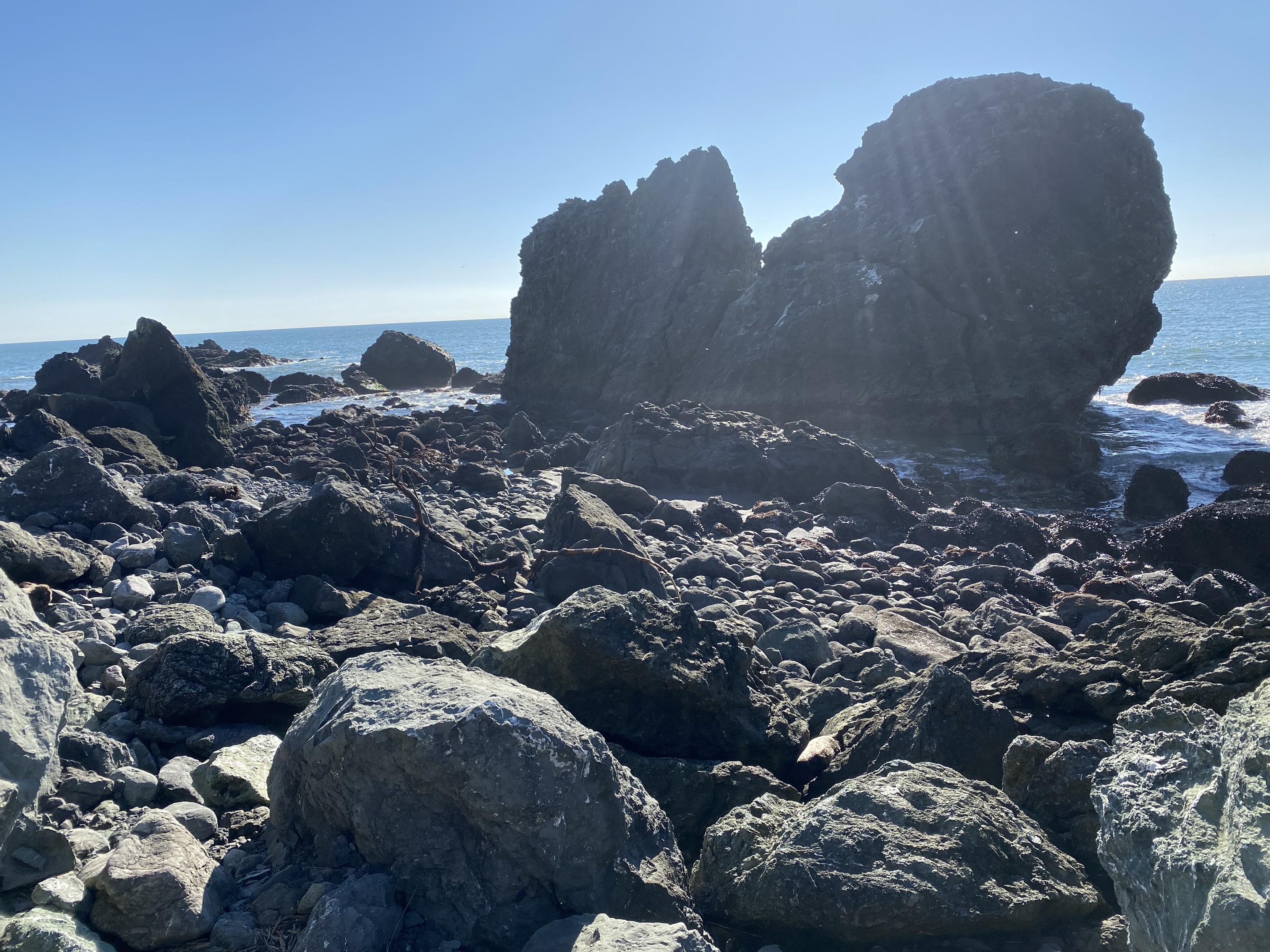 photograph of pacific coast shore rocks at slide ranth, north of san francisco