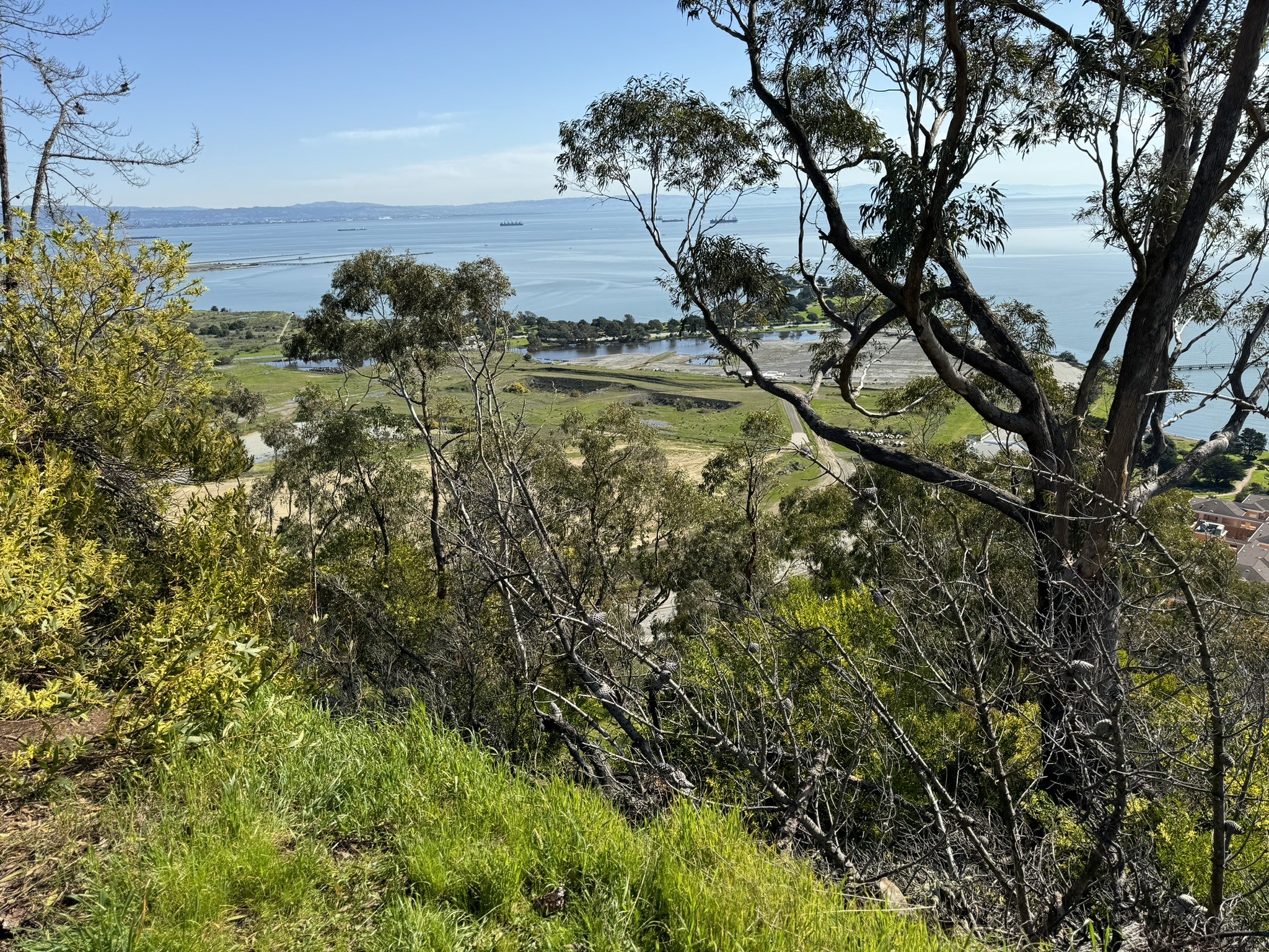 photograph of the parking lot for the now demolished Candlestick Park stadium from the Bayview Hill Trail