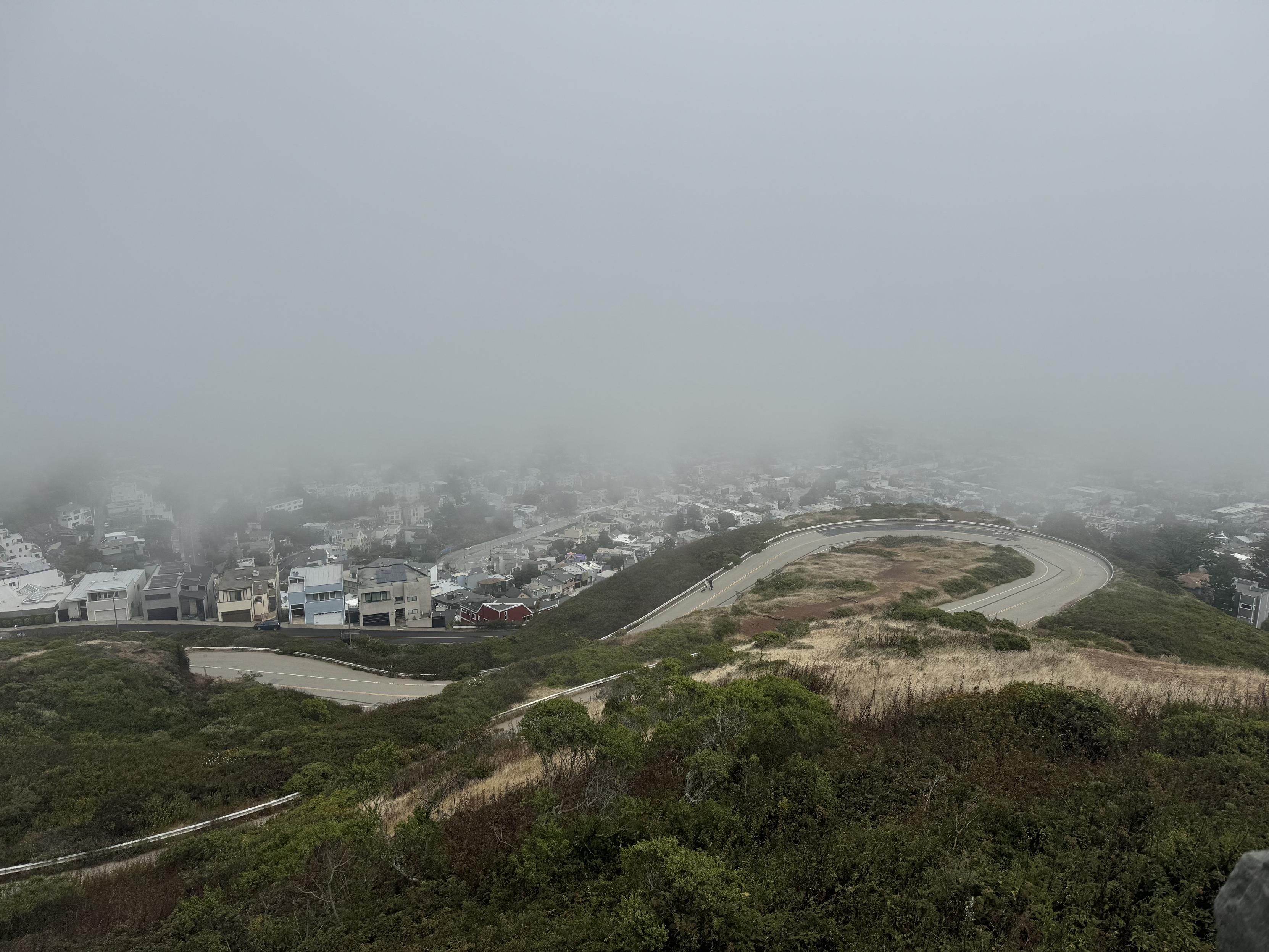 photo from Christmas Tree Point in San Francisco, looking down on a switchback of Twin Peaks Boulevard in the bottom half of the photo. The entire top half of the photo contains downtown San Francisco, in theory, but is solid gray with fog