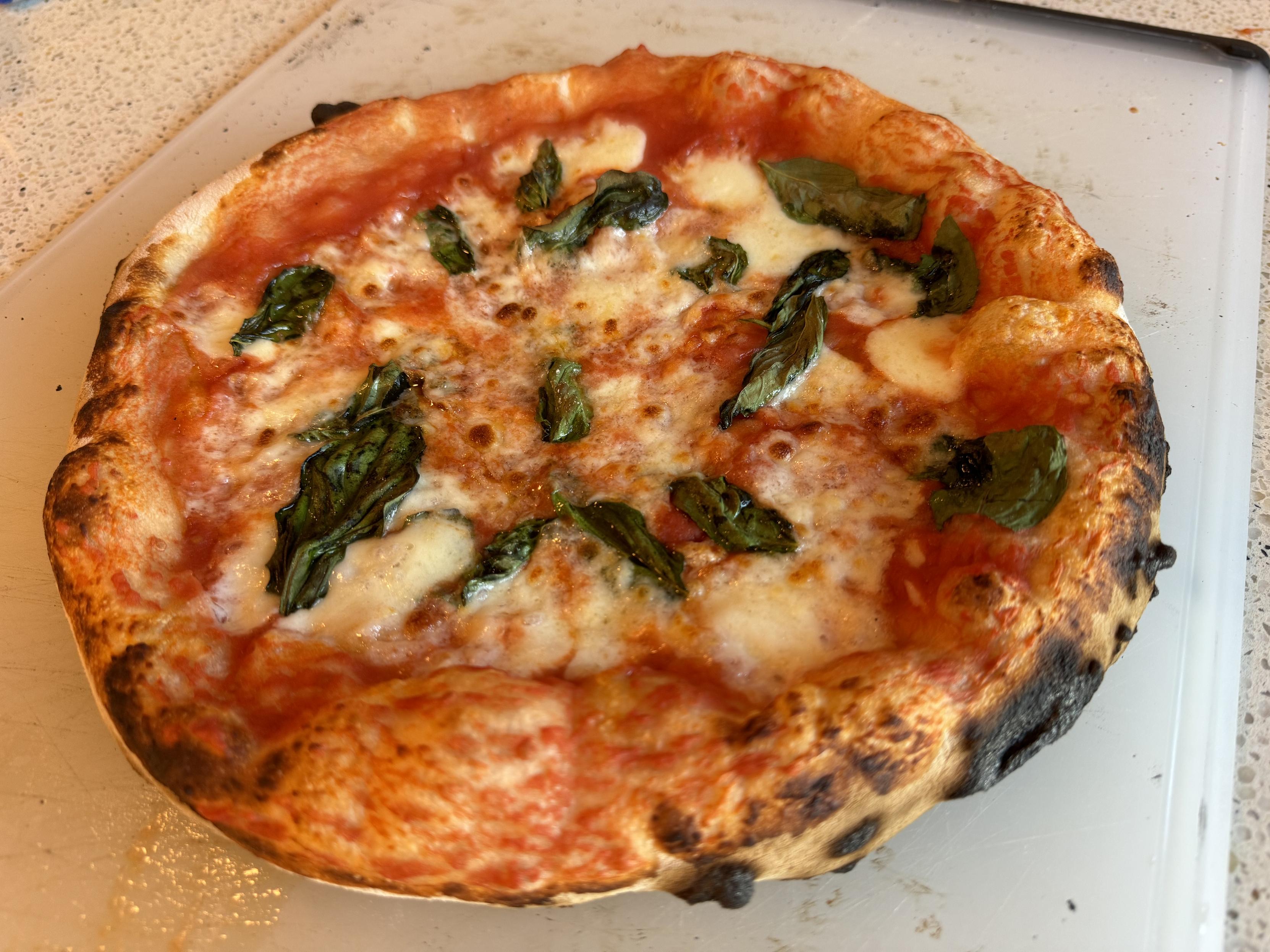 photo of a Neapolitan pizza w/ sauce, cheese, and basil