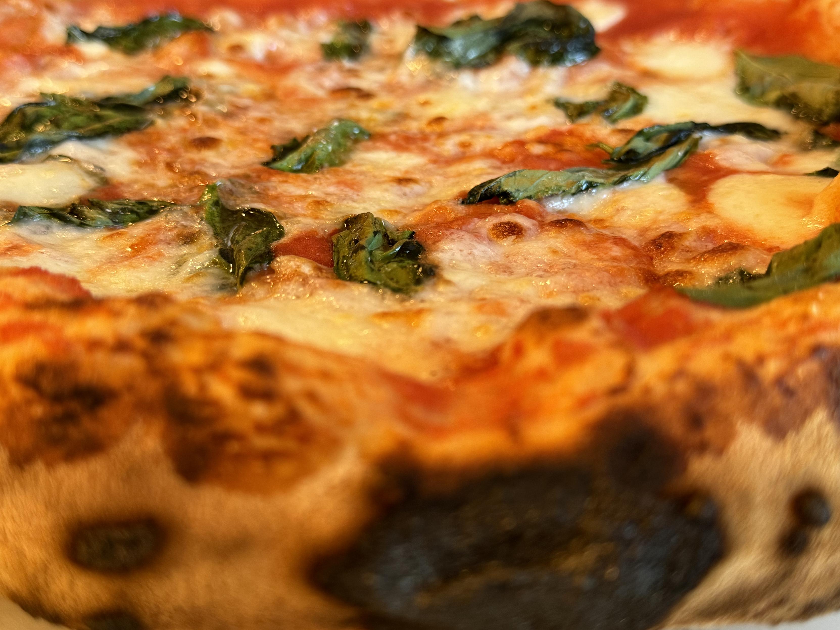 macro photo of a Neapolitan pizza w/ sauce, cheese, and basil from crust to crust