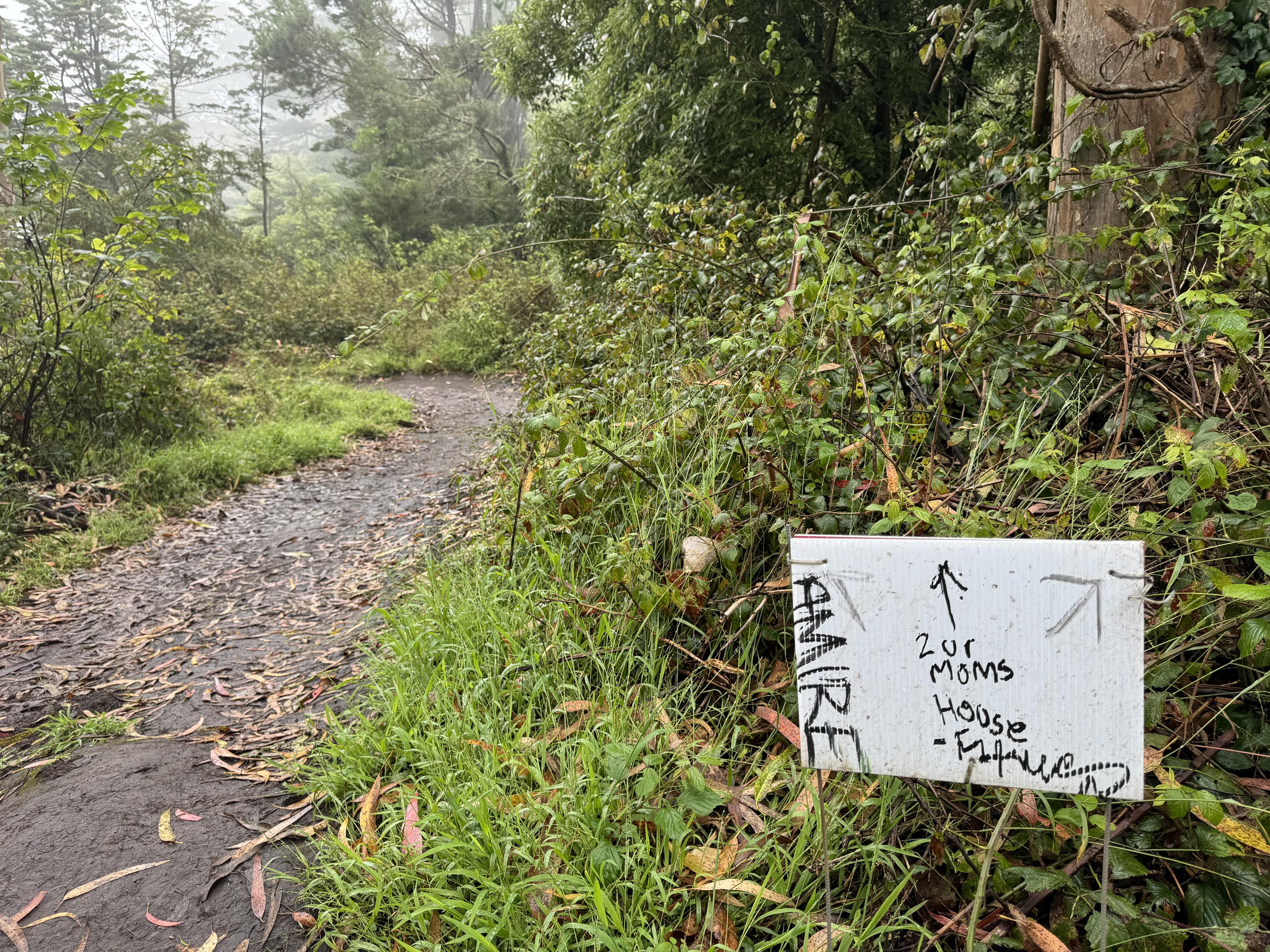 photograph of a hiking trail in thick fogon the left third of the photo, a muddy double-track meanders aheadon the right over grass and underbrush, front of trees in the forrest, a white corrugated plastic board sign is posted on two wiresand written along the left at an angle is something I can’t make out. in the middle, there is an arrow and hand written text I can read, above a tag I also can’t make out, which says:ꜛ2 urmomshouse-????