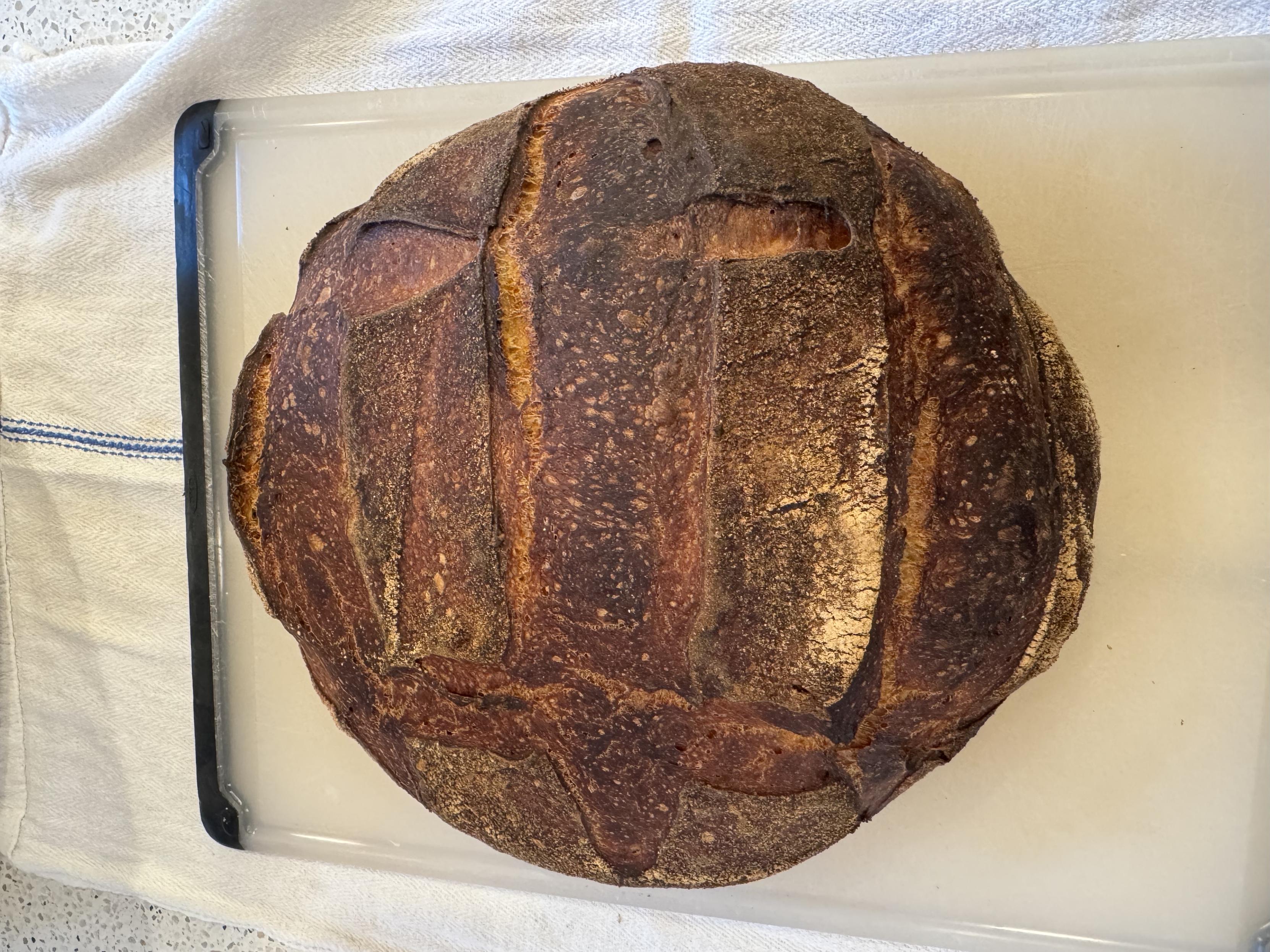 photograph, top down, of a round loaf of sourdough bread sitting on a medium oxo plastic cutting board which is itself on a white kitchen towel w/ a blue stripe on it. the loaf has three vertical slashes and two horizontal slashes and is a dark brown to black in places, just how it should be afaik