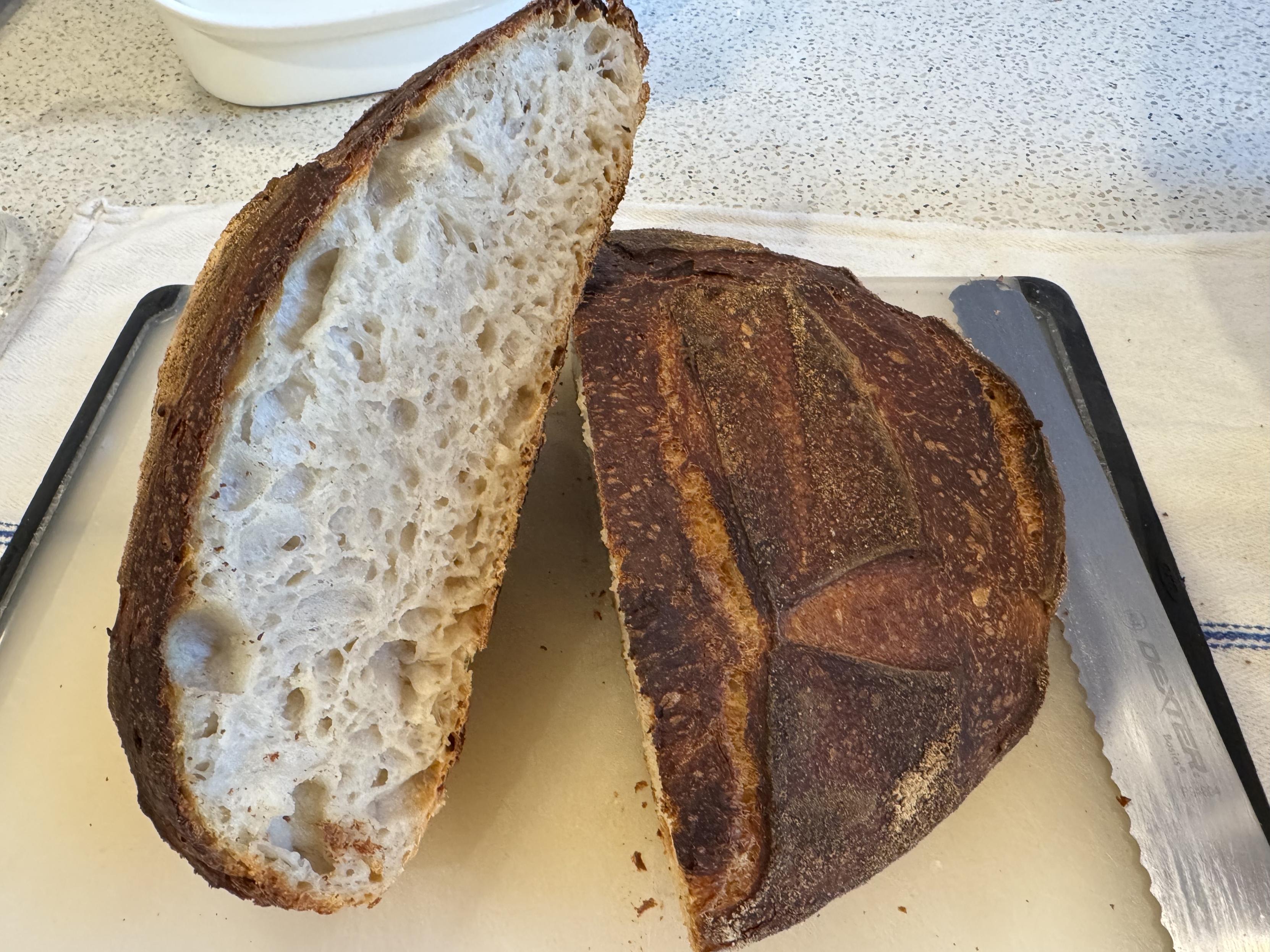 photograph, looking down at a round loaf of sourdough bread that has been cut in half, one half propped up so that the open crumb faces the camera, sitting on a medium oxo plastic cutting board which is itself on a white kitchen towel w/ a blue stripe on it. A long serrated bread knife is next to the loaf on the right.the crumb consists of bubbles large and small, scattered throughout, surrounded by with a very thin but hard crust