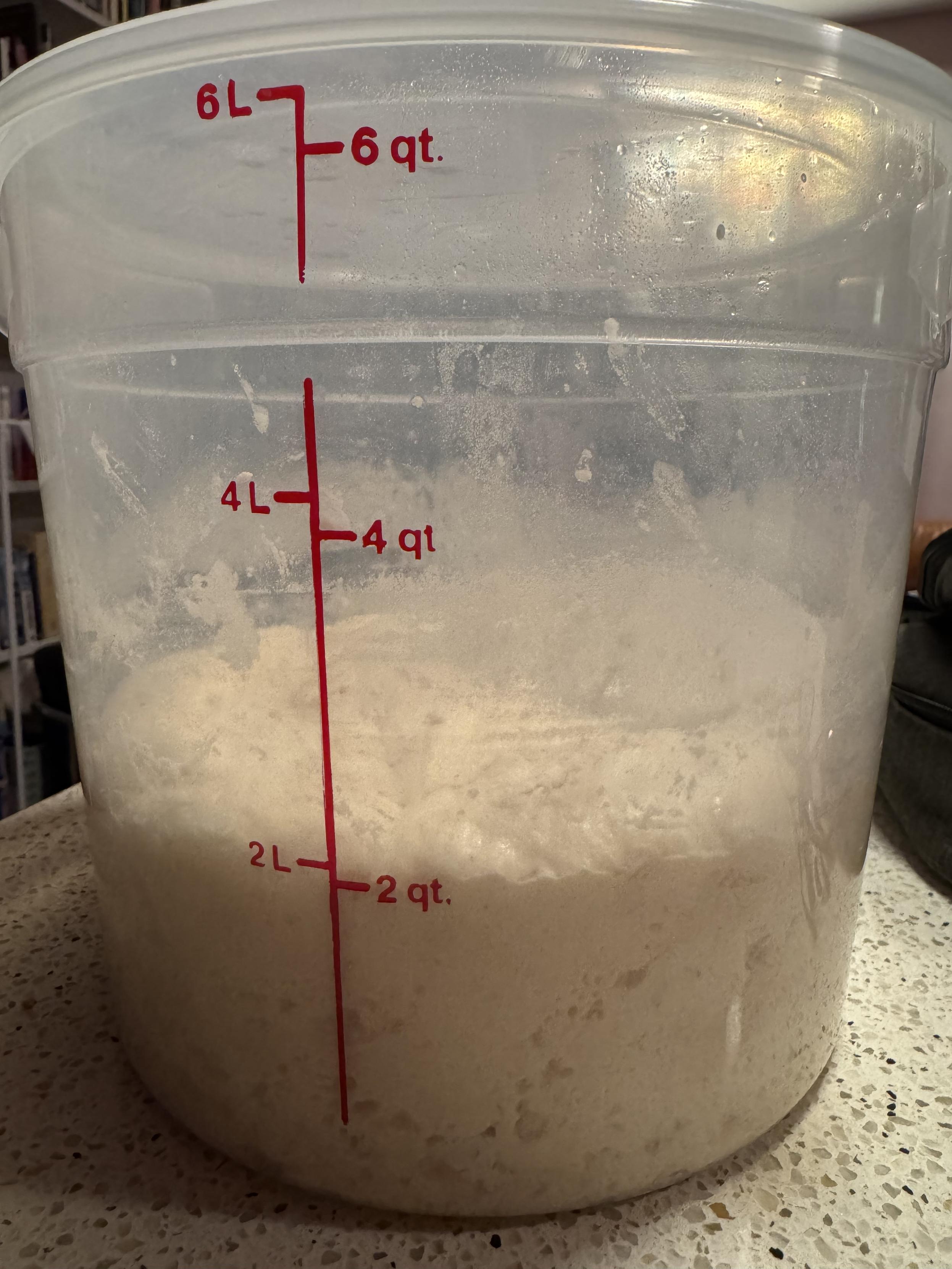 photograph of the same 6qt fermenting tub this evening, 11 hours later, risen to just over 2 qt.