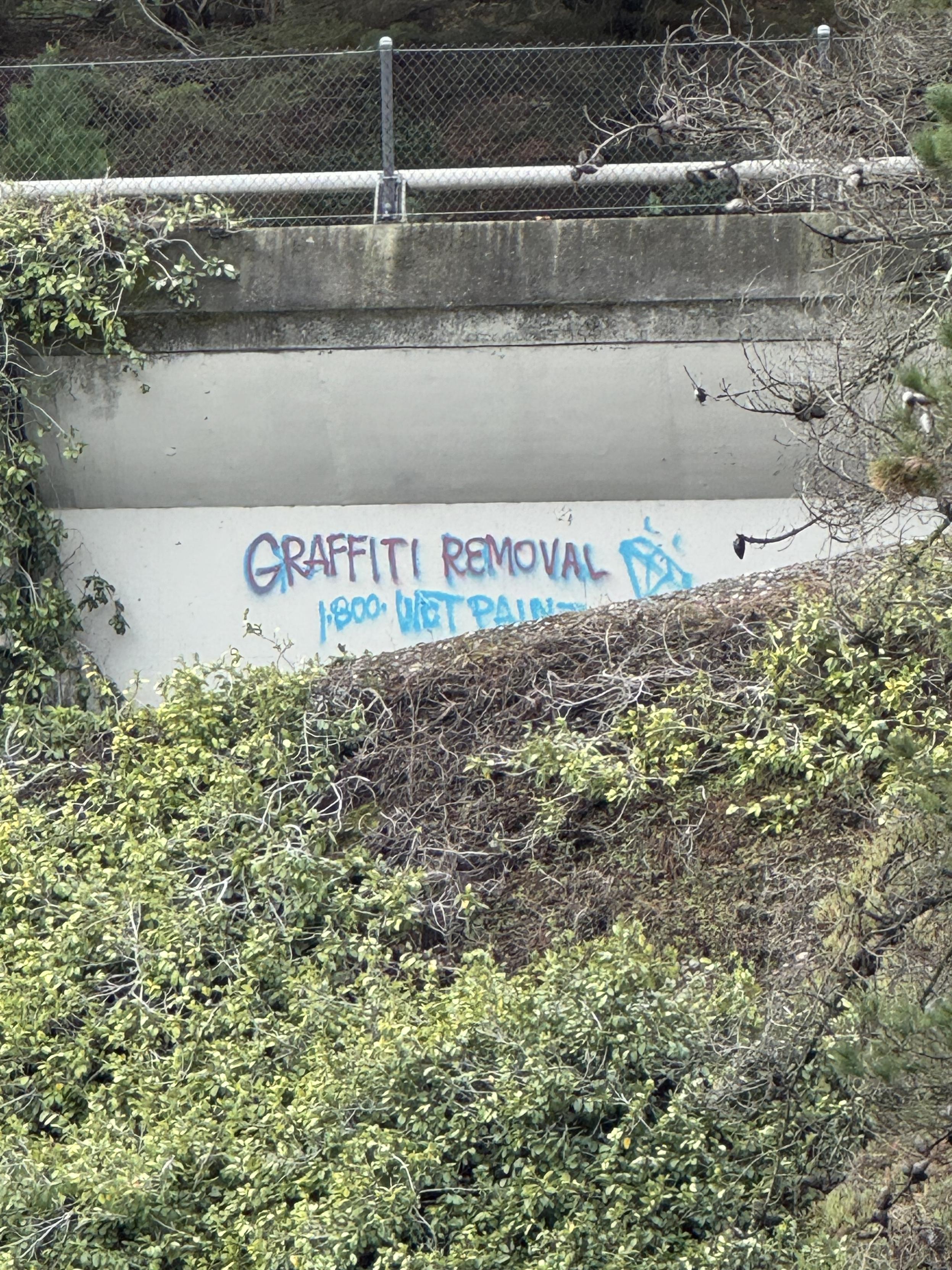 a photograph of the right side of a concrete highway overpassthe top sevenths or so of the photo is crossed by the hand rail and concrete barrier over a smooth concrete wall probably 10 foot tall on the left diminishing along the bottom rising up to 6 feet on the rightthe entire bottom half of the photo is green scrubs, weeds, bushes, and other overgrowth wet from rainthe wall has been tagged in scrappy turquoise block spray-paint letters, the first line has been over-painted again in purple:GRAFFITI REMOVAL1-800-WET-PAINTTo the right is in the base turquoise is a tag of a simple cut gem, resting on one side