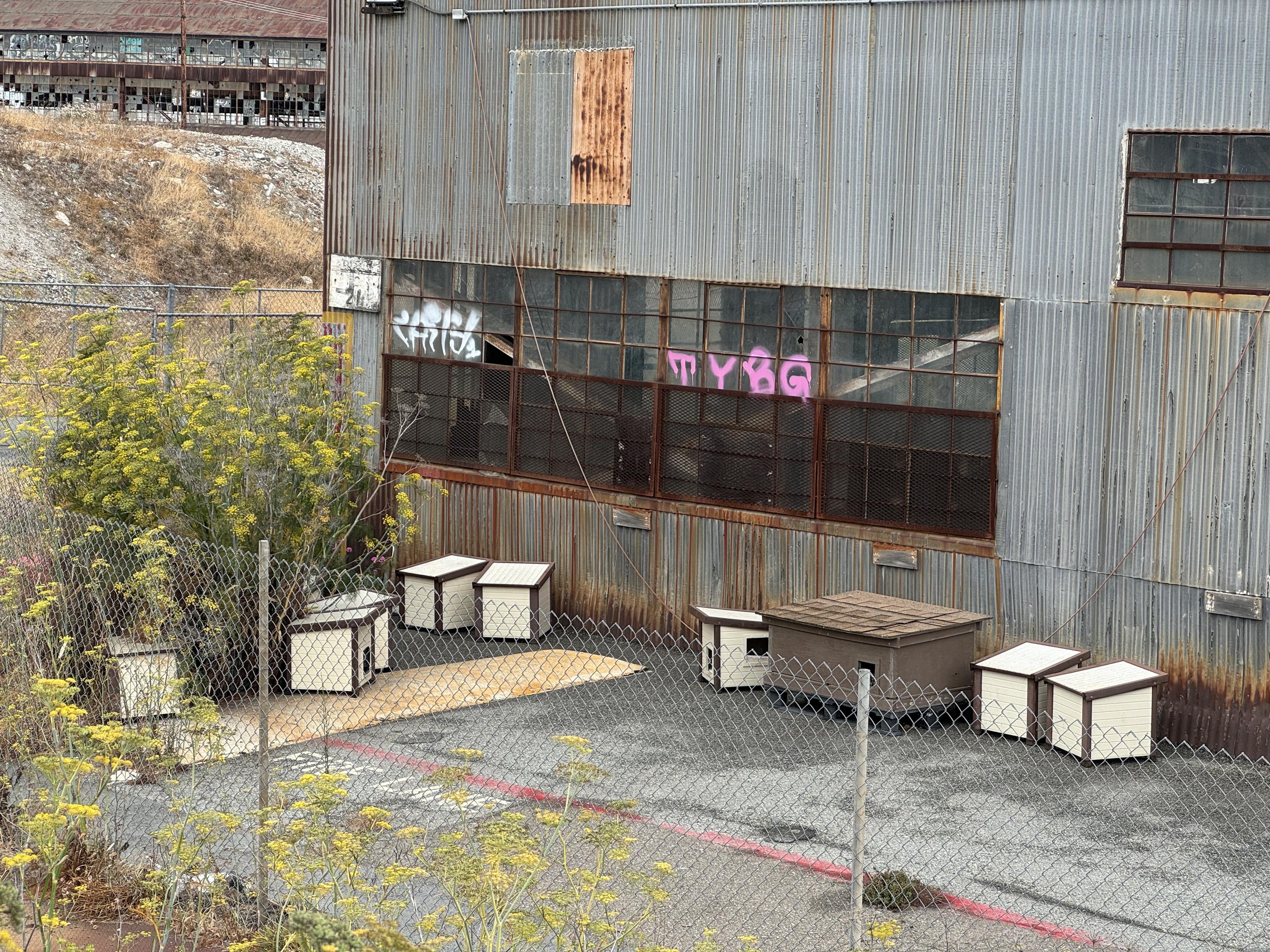 Photograph of an industrial building covered in vertically oriented corrugated steel, behind a chain link fence. Scattered between the fence and the building are half a dozen white cat houses facing various directions in no particular apparent organization