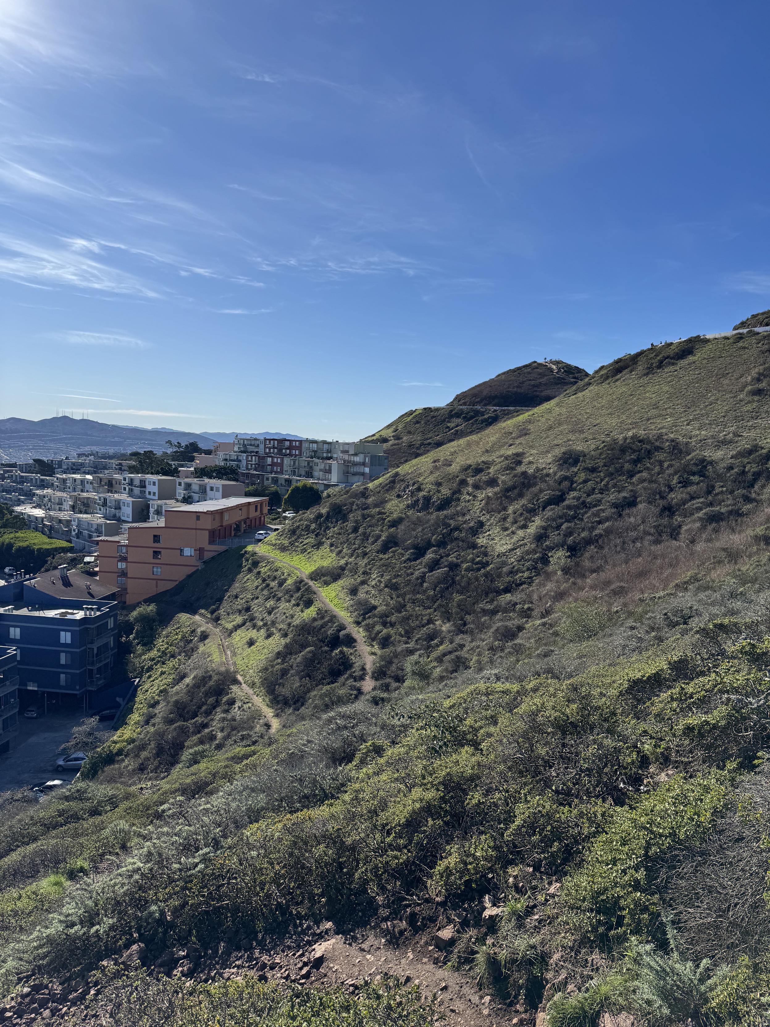 photograph of the trails we were walking traversing the east side of Twin Peaks down into the neighborhood below, mostly green this time of year, with a few single tracks rising and dipping along the hillside