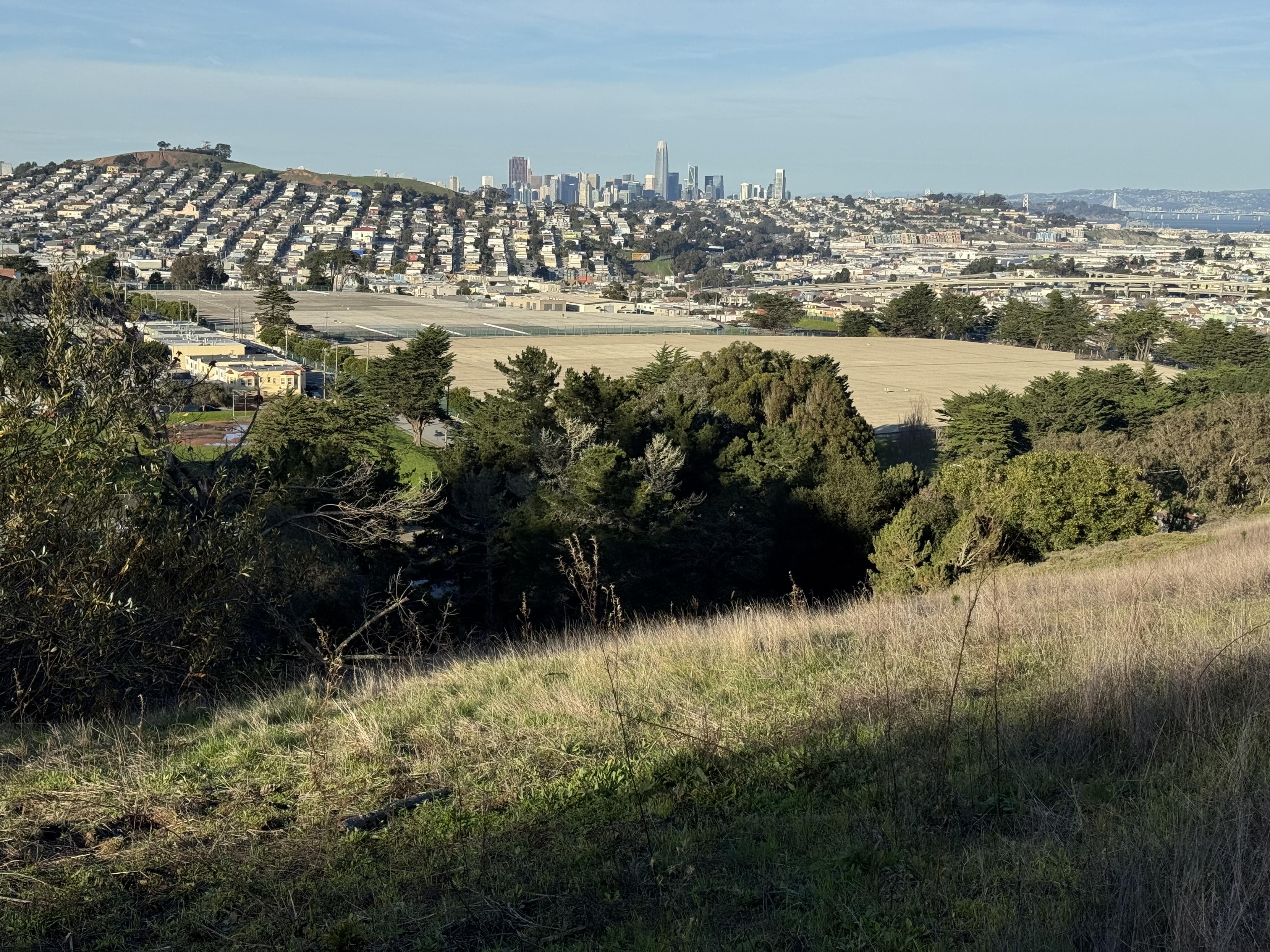 Photograph of Bernal Heights and beyond, including downtown, the Bay Bridge, Berkeley, and so on, from McLaren Park, SF.