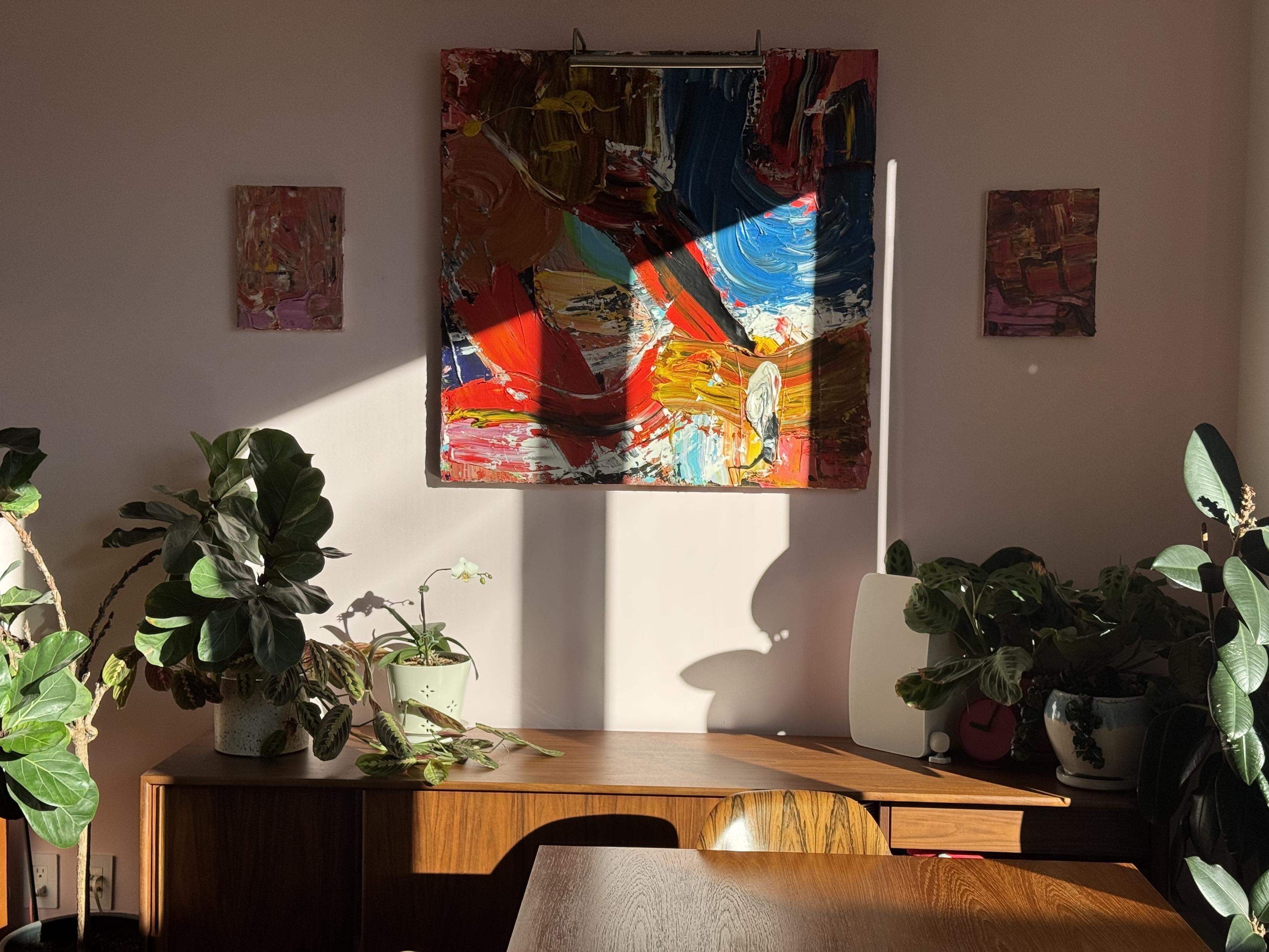 photograph of our credenza in the morning sun, left to right, ficus,, prayer plant, orchid, prayer plant, rubber tree.an abstract expressionist acrylic triptic in bright colors is in the wall above