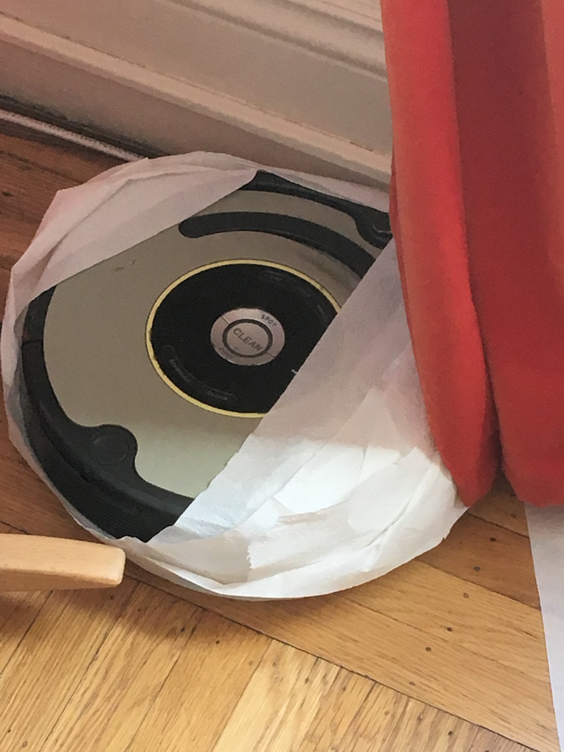 our roomba, surrounded by tp