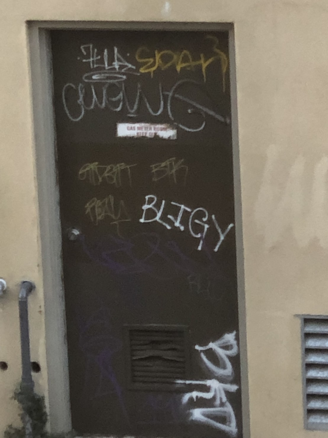 tags on a  green door by BLIGY, 7LLA, EBAN, BKO, and others