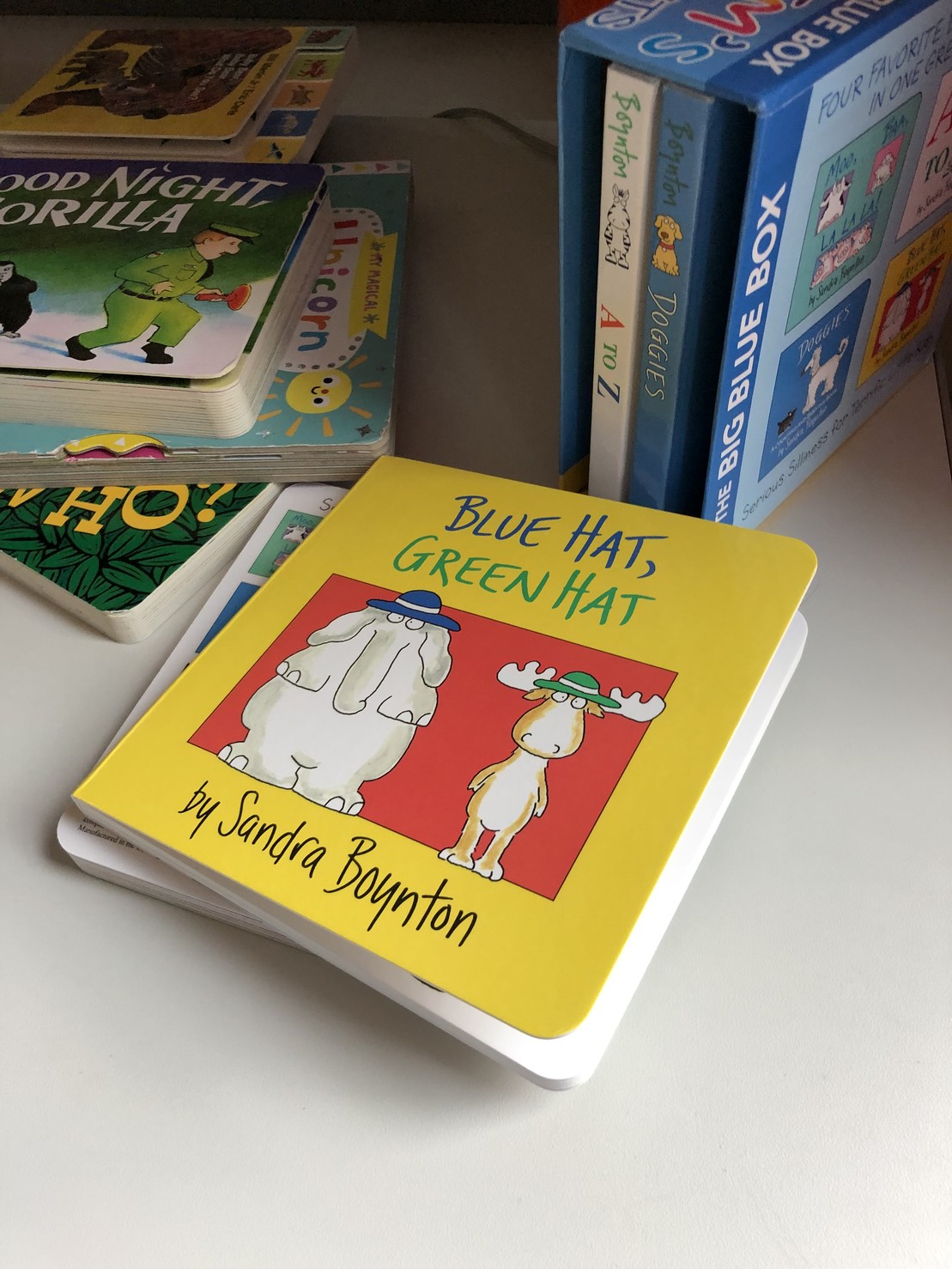 Children’s book “Blue Hat, Green Hat”, by Sandra Bounton