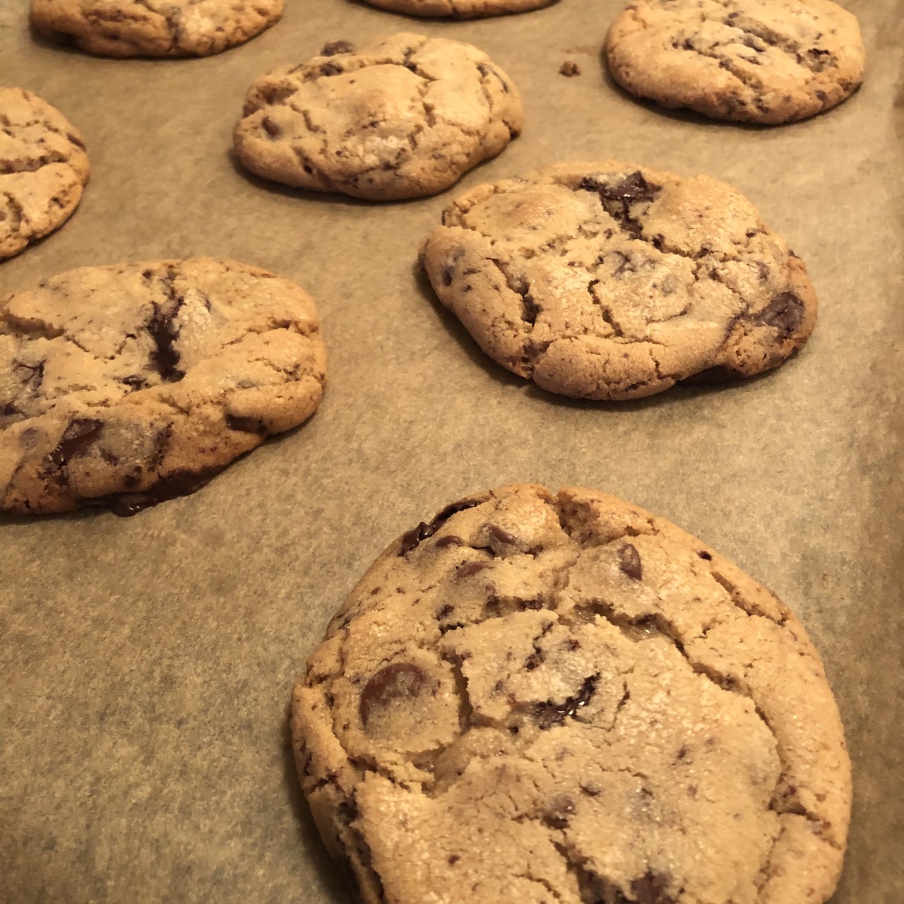 chocolate chips cookies fresh out of the oven